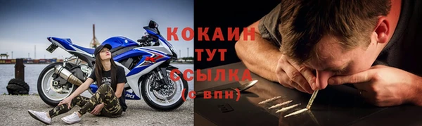 apvp Алексин