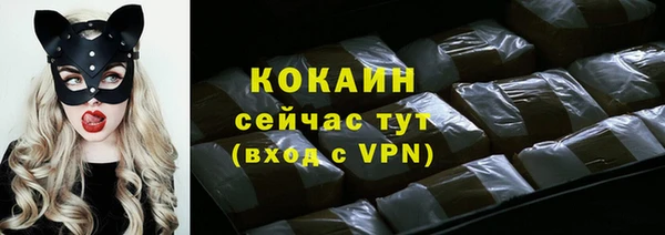 apvp Алексин