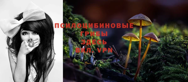 бутират Алзамай