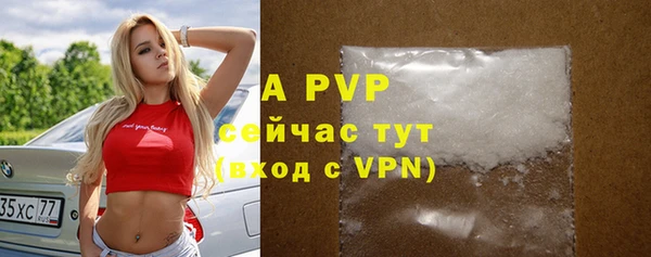apvp Алексин